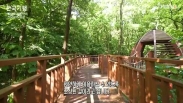 EBS 한국기행