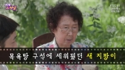 내고향 스페셜